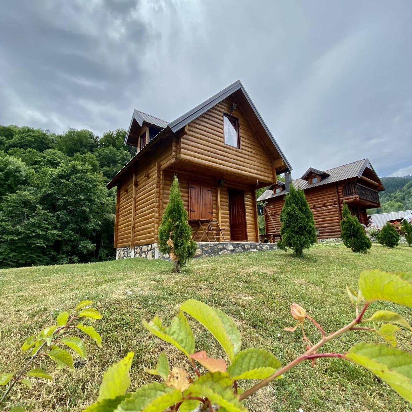 Villa Gradine - Katun Kamp Plav Habitación foto